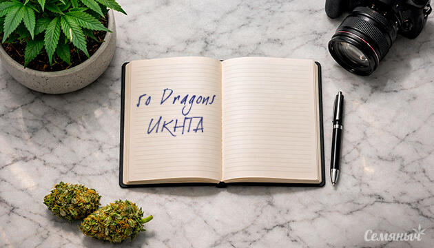 Гроурепорт сорта 50 Dragons от UKHTA