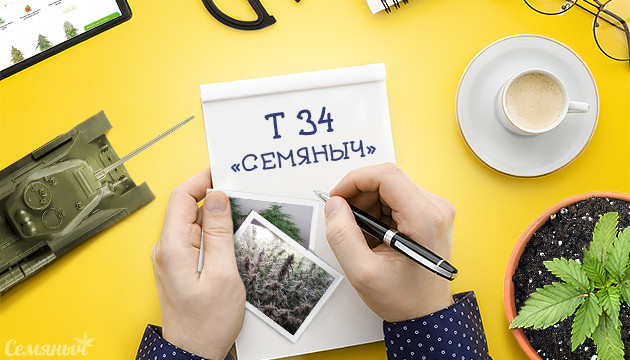 Гроурепорт сорта T-34 fem от Семяныча