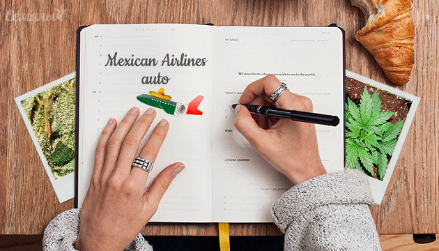 Гроурепорт сорта Mexican Airlines auto от Fast Buds