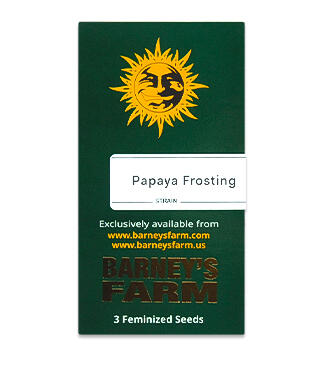 Papaya Frosting fem (Barney's Farm)